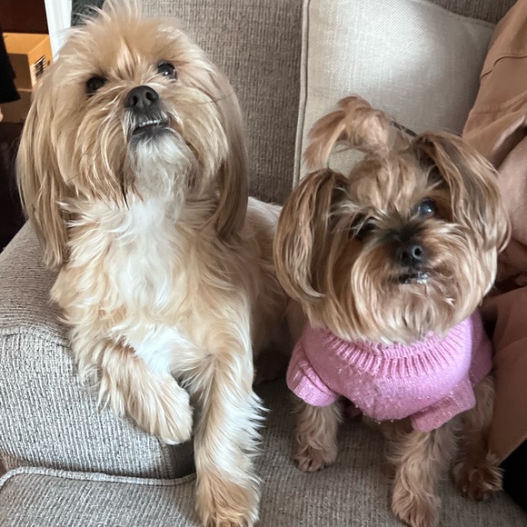 @sunshine1closet    PLEASE LIKE THIS POST to be notified of my LIVE SHOW… - Picture 4 of 8